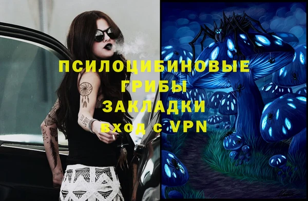 спиды Алексеевка