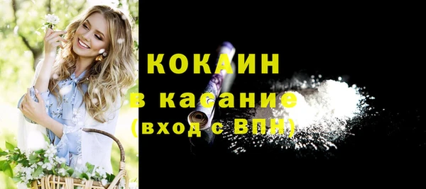 молекула духа Алексин