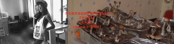 кокс Абдулино