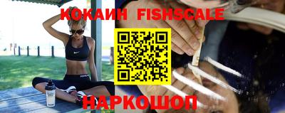 крисы Славгород